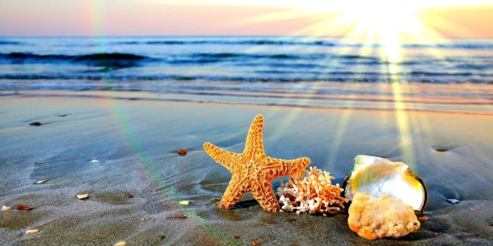 1920x1080 58+ Summertime Wallpapers on WallpaperPlay