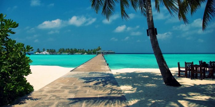 1600x900 150 Elegant Hd Summer Wallpaper for You - Cameeron Web