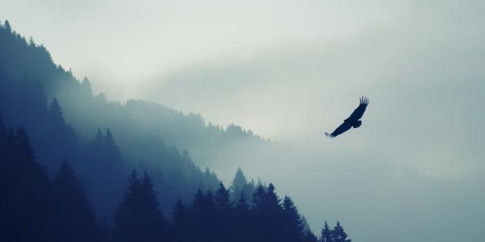 3840x1080 74+ 3840X1080 Wallpapers on WallpaperPlay