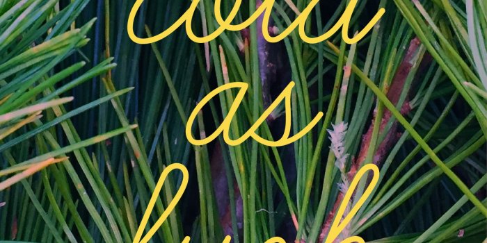 1563x2779 Free Desktop Wallpapers – Kodiak Milly