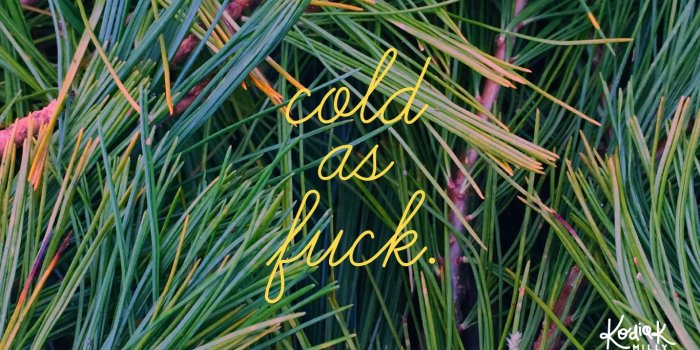 1366x768 Free Desktop Wallpapers – Kodiak Milly