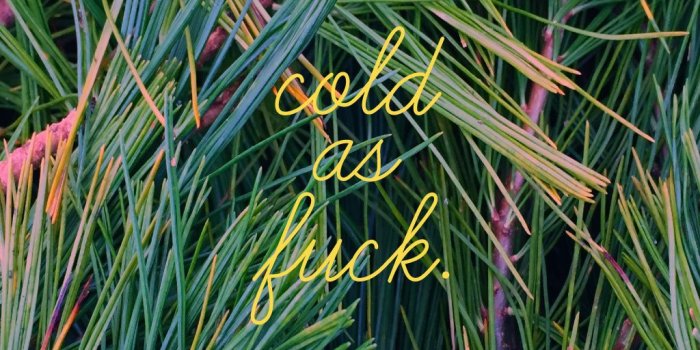 1024x768 Free Desktop Wallpapers – Kodiak Milly