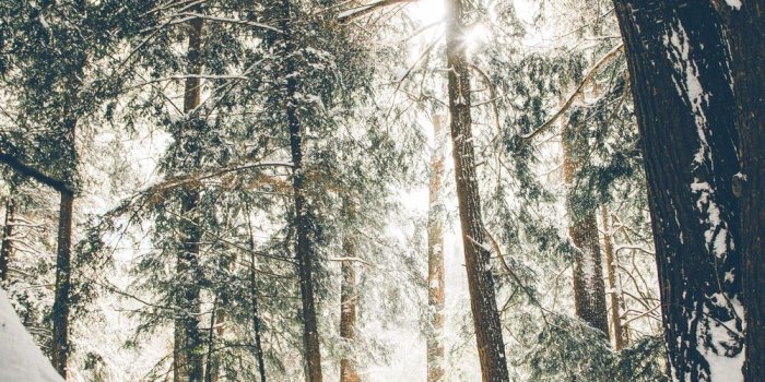 1000x1500 Winter Wallpapers: Free HD Download [500+ HQ] | Unsplash