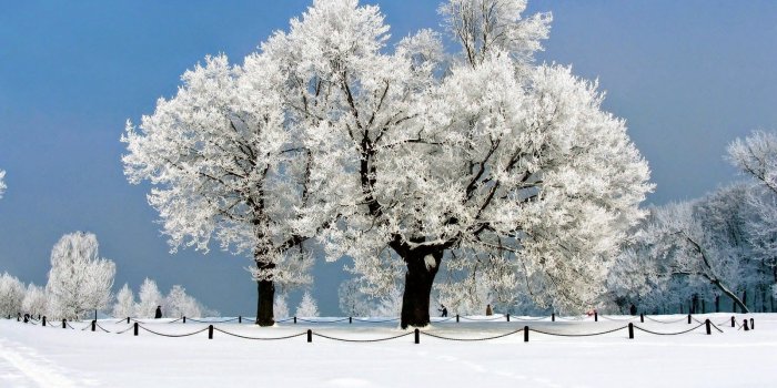 1600x1000 wallpapers: Winter Wallpapers