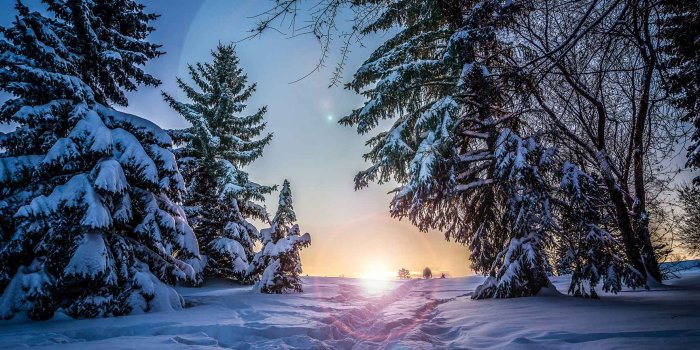 1730x1155 10 x Winter Wonderland iPhone Xs Wallpapers | Preppy Wallpapers