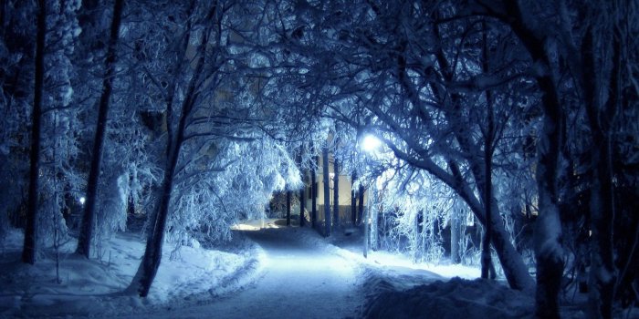 1920x1080 Winter - Winter Wallpaper (43083513) - Fanpop