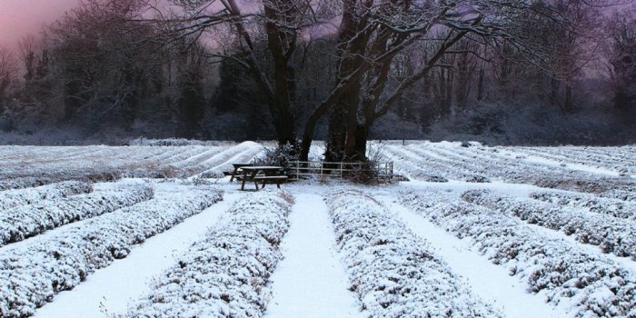 1080x1920 Free Download Winter Wallpapers for Iphone