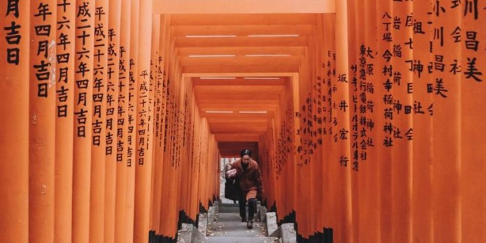 828x1792 Tokyo Japan iPhone 11 Wallpapers Free Download