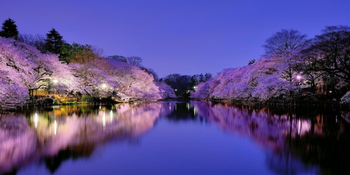 2560x1600 50+] Japanese Wallpapers for Desktop on WallpaperSafari