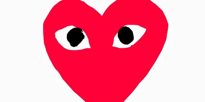 1440x1080 Comme De Garcon Wallpaper posted by Sarah Peltier