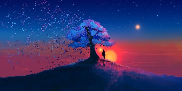 1920x1080 Boy Standing under Tree at Sunset HD Wallpaper | Background Image