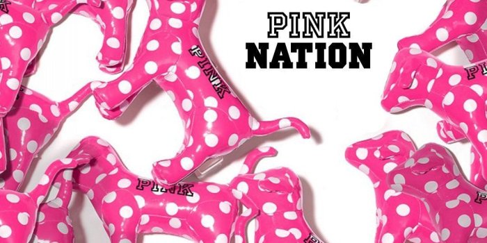 1080x1920 VS PINK dog wallpaper 2019 | Pink wallpaper iphone, Pink nation