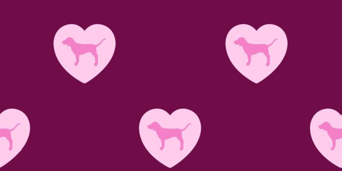 1242x2208 Giovanna Flores on PINK NATION | Pink wallpaper iphone