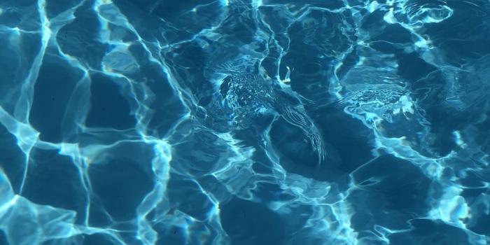 1000x1333 Water Wallpapers: Free HD Download [500+ HQ] | Unsplash