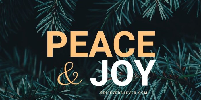 1440x2561 71+ Christmas Peace Wallpapers on WallpaperPlay