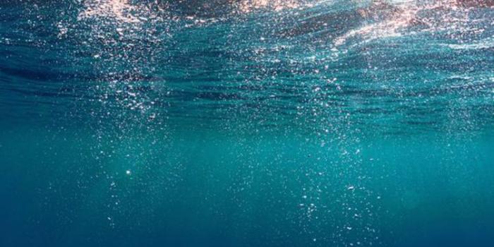 750x1334 Under Water iPhone 7 Wallpaper [750x1334]