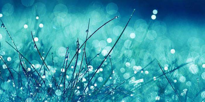 1920x1080 30+ Water Drop Wallpapers, Backgrounds, Images | Design Trends