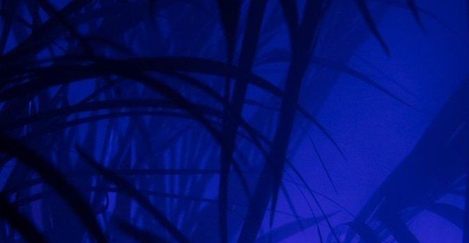 675x1200 Aesthetic Wallpapers (@Almond_Milk_01) | Twitter