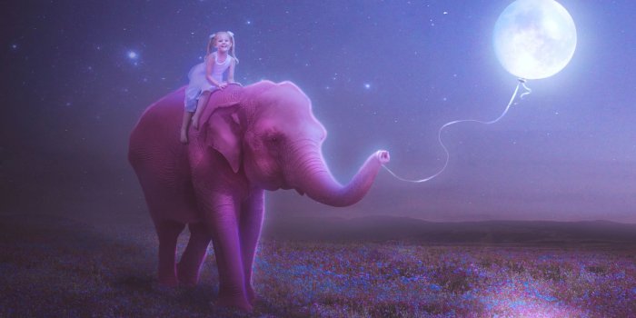 1920x1080 Elephant Wallpapers | Best Wallpapers