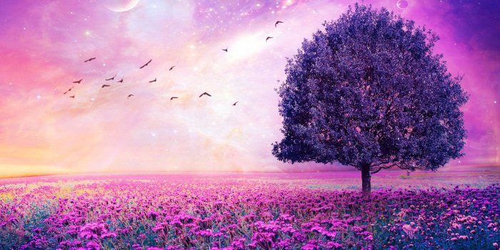 2880x1800 Purple Tree Wallpaper (53+ pictures)