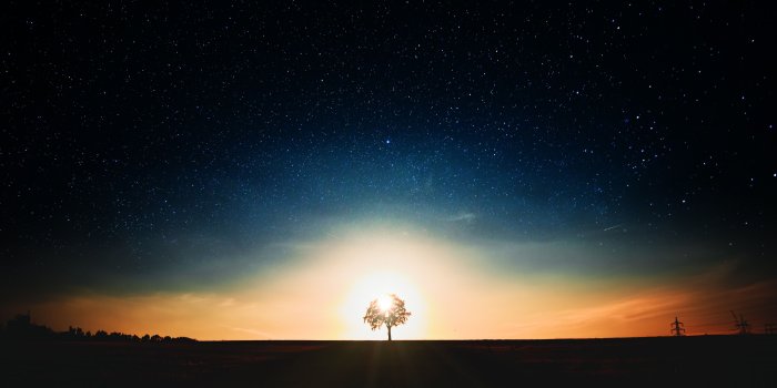 3840x2160 Wallpaper 4k Tree Dark Landscape 4k 4k-wallpapers, dark wallpapers