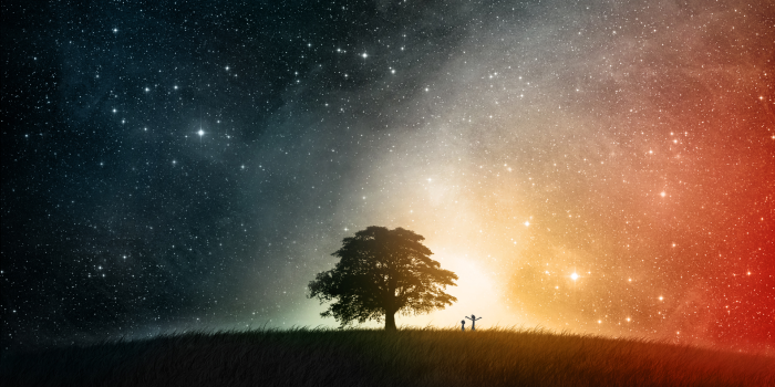 1920x1080 Rick and Morty and that space tree wallpaper : wallpapers