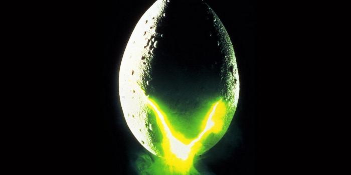 1920x1080 HD Wallpapers Alien