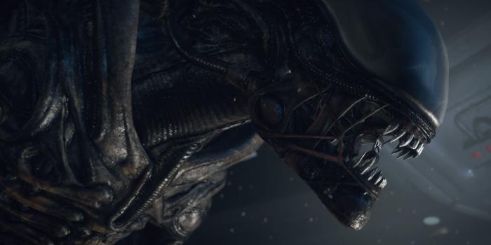 3840x2400 555555 HD Alien Images, Wallpapers for Desktop, B.SCB Wallpapers