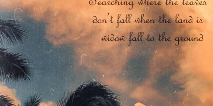 719x1280 joji lockscreens | Tumblr