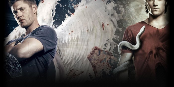 1920x1080 Free download Supernatural dean winchester sam wallpaper 18456