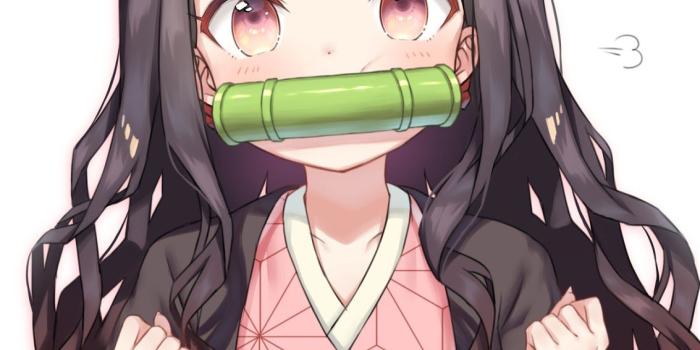 1133x1600 40 Most Beautiful Demon Slayer Wallpapers for Mobile