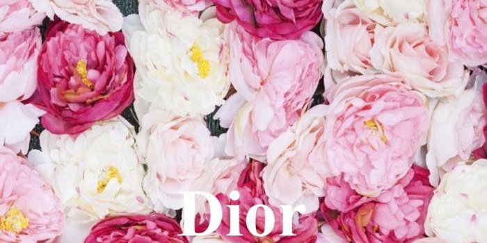 852x1608 Dior HD Wallpapers