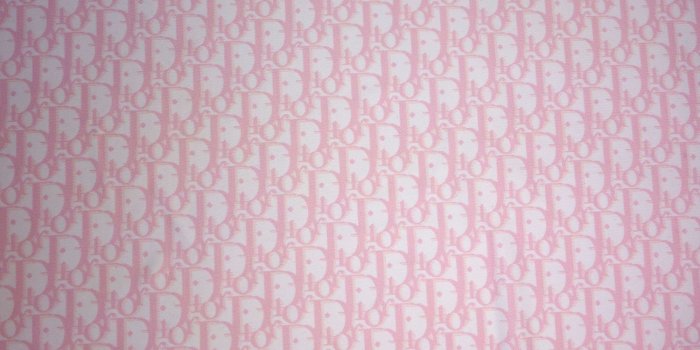 1500x1000 Christian Dior Monogram Fabric, Designer Inspired print on Spandex