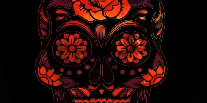 1080x1920 Iphone Skull Wallpaper - KoLPaPer - Awesome Free HD Wallpapers