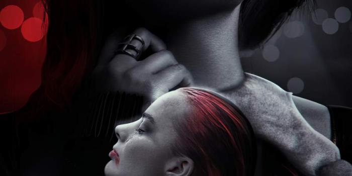 900x1600 Harley Quinn 4K iPhone Wallpaper - iPhone Wallpapers : iPhone