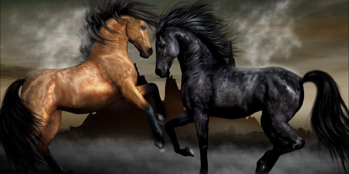 2560x1600 Horse Wallpapers - Top Free Horse Backgrounds - WallpaperAccess