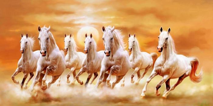 1589x900 Seven Horses Wallpapers