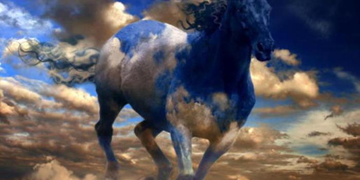 1024x768 Horses Wallpapers And Screensavers #ZY37WOF Picserio.com