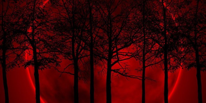 1600x1200 Red And Black Wallpapers Group (90+)