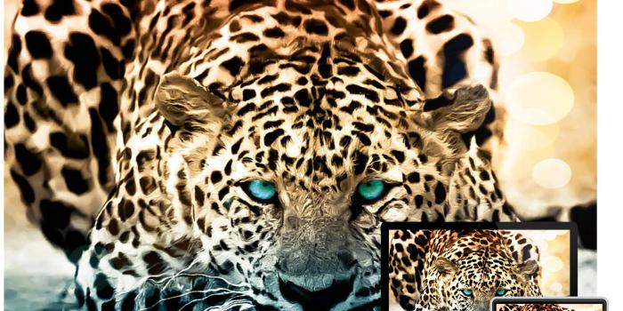 1576x1159 40+ Amazing Wildlife & Animal Wallpapers - Hongkiat