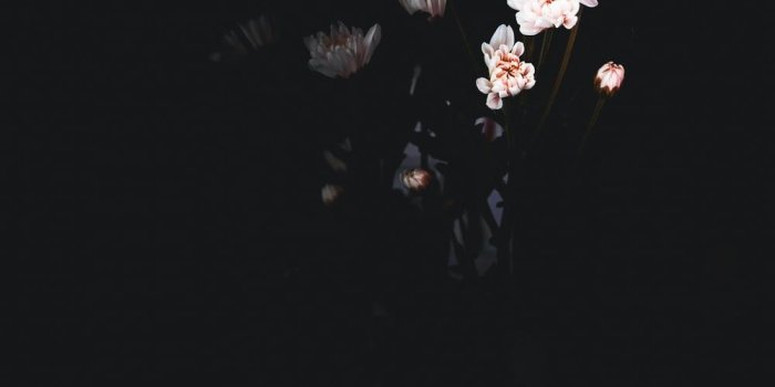 1000x1250 AMOLED Wallpapers: Free HD Download [500+ HQ] | Unsplash