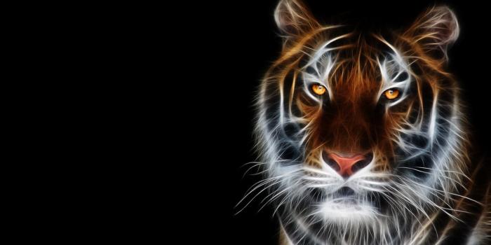 1920x1200 3D Wallpapers Animals Group (82+)