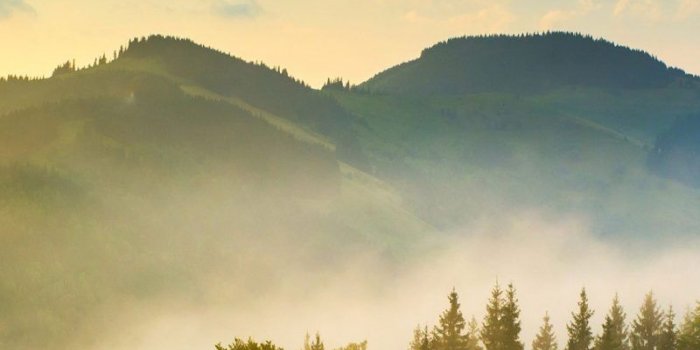 800x1732 50 Stunning iPhone X Wallpapers