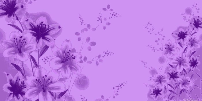1920x1080 Lavender Color Wallpaper (56+ pictures)