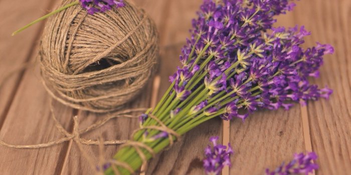 1680x1050 Mood Flowers Lavender Purple Hd Wallpaper | All HD Wallpapers Gallery