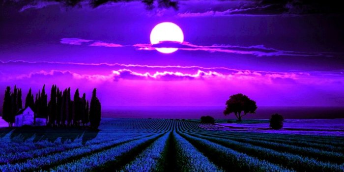 1280x800 Moonlight Lavender wallpapers | Moonlight Lavender stock photos