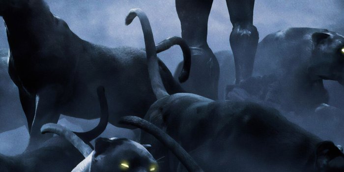 1242x2688 1242x2688 Black Panther Rise Up 4k Iphone XS MAX HD 4k Wallpapers, Images,  Backgrounds, Photos and Pictures