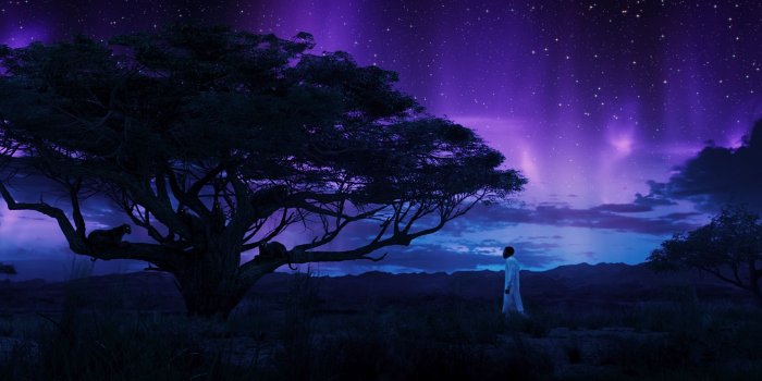 3046x1713 4507428 #Marvel Cinematic Universe, #Black Panther, wallpaper | Mocah.org  HD Wallpapers