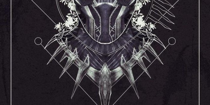 736x1104 Free download Black Panther Marvel Wallpapers [736x1104] for your Desktop,  Mobile & Tablet | Explore 80+ Black Panther Movie Wallpapers | Black Panther  Movie Wallpapers, Black Panther Background, Black Panther Wallpaper