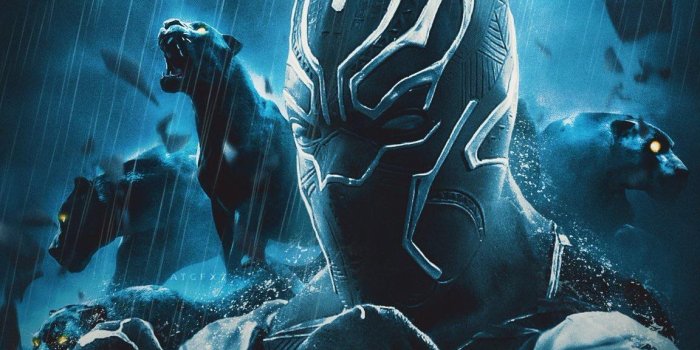 1152x2048 Hd Black Panther Wallpaper posted by John Walker